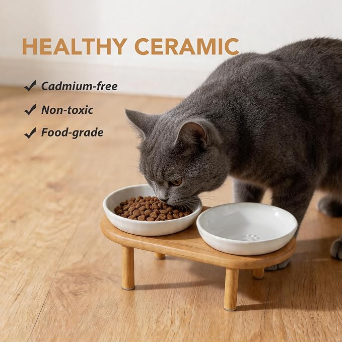Havniva Elevated Cat Bowls, Ceramic Cat Bowl with Bamboo Stand Wide Opening | 5.7” Raised Cat Food Bowls, Whisker Friendly Cat Dish, Anti-Slip Cat Water Bowls, Shallow Cat Bowls, Cat Food & Water Bowl