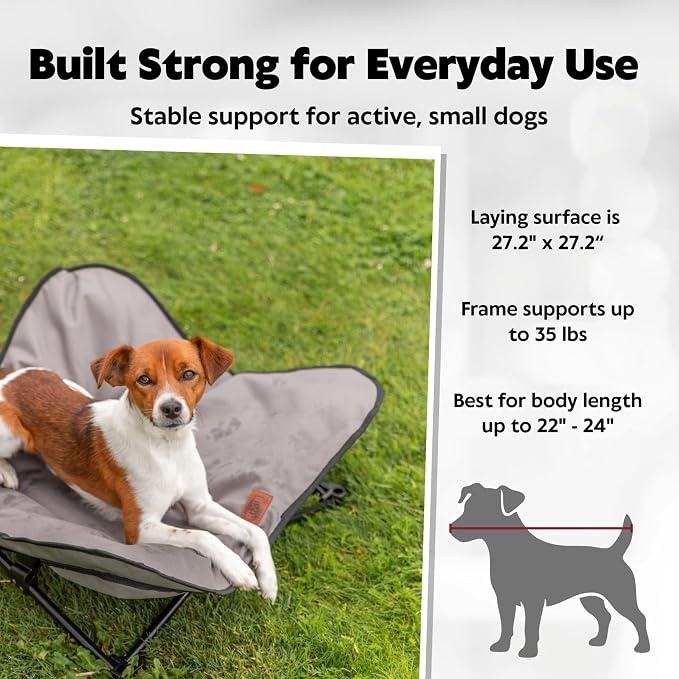 Trixie Camping Cot for Small Dogs up to 35 lb, 27.2" x 27.2" | Elevated Pet Travel Bed, Portable Steel Frame Lounger, Removable Topper, Foldable Design, Storage Bag Included