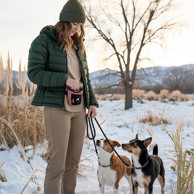 OllyDog, Goodie Treat Bag, Dog Treat Training Pouch | Magnetic Closure | 3 Ways to Wear | Hands-Free Waist Belt | Water-Resistant Recycled Vegan Fabric (Desert)