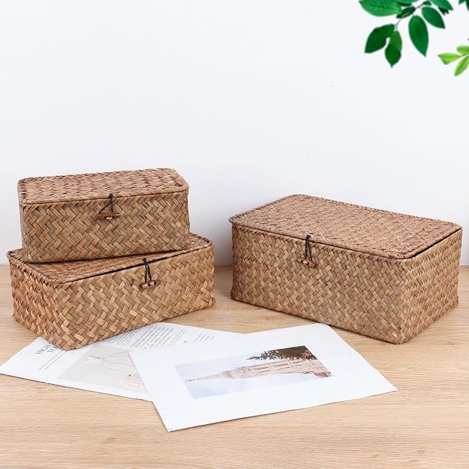 FEIALNDUO Wicker Shelf Baskets with Lid,Seagrass Storage Basket Bins Rectangular Handwoven Basket Boxes for Shelves Desktop Home Organizer (Coffee, X-Small)