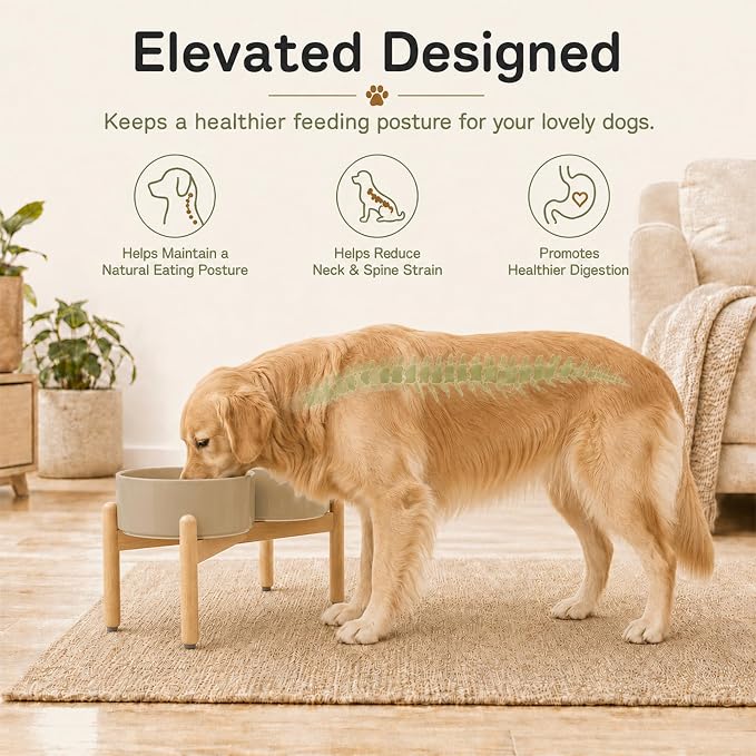 Havniva Ceramic Dog Bowls Elevated, Raised Dog Food Bowl for Small Dogs | 8.3” Elevated Dog Bowls, Non-Slip Wood Stand, Dog Food and Water Bowl Set, Dog Feeding Dish, Large Capacity Pet Water Bowl