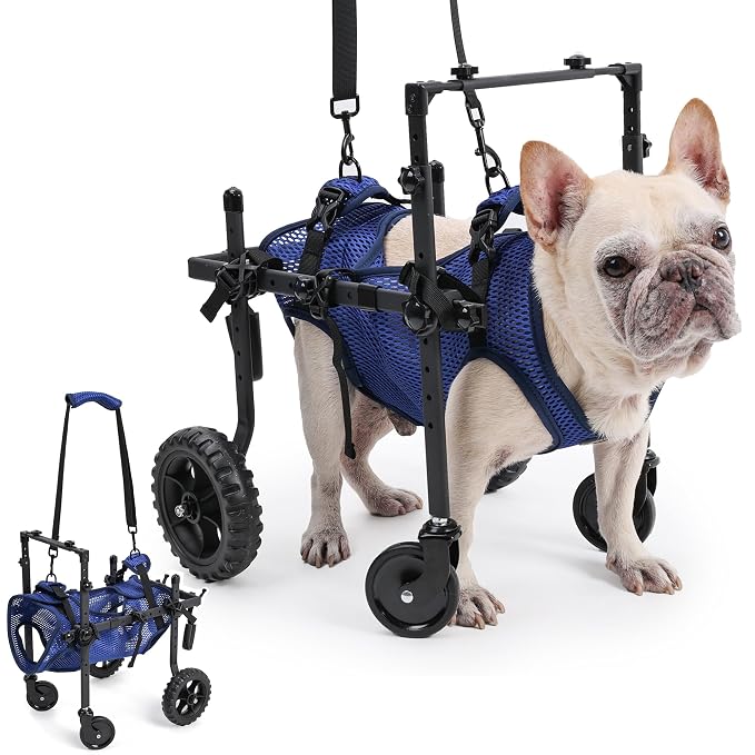 Quad Dog Wheelchair for Disabled Dogs, 4-Wheel Mobility Cart with Harness | Stable 4-wheel support with breathable harness helps senior and disabled dogs move with greater comfort and confidence.