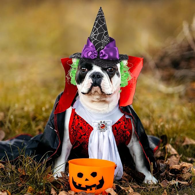 Abaodam Pet Witch Hat for Cats Dogs Puppies Halloween Star Hat Lightweight Cosplay Party Accessory for Holiday Costume