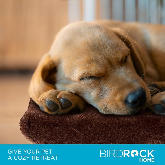 BIRDROCK HOME Memory 3" Memory Dog Bed | Ultra Soft Plush Pet Bed | Pet Mat (22 x 16, Brown)