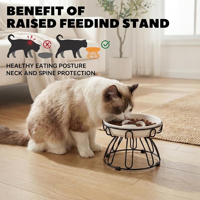 Raised Cat Bowl Stand Metal - Elevated Cat Food Dish Holder with Anti-Slip Sleeves - Lifted Feeding Station Anti Vomiting - 6.7" W x 3.9" H - Black (Bowl Not Included)