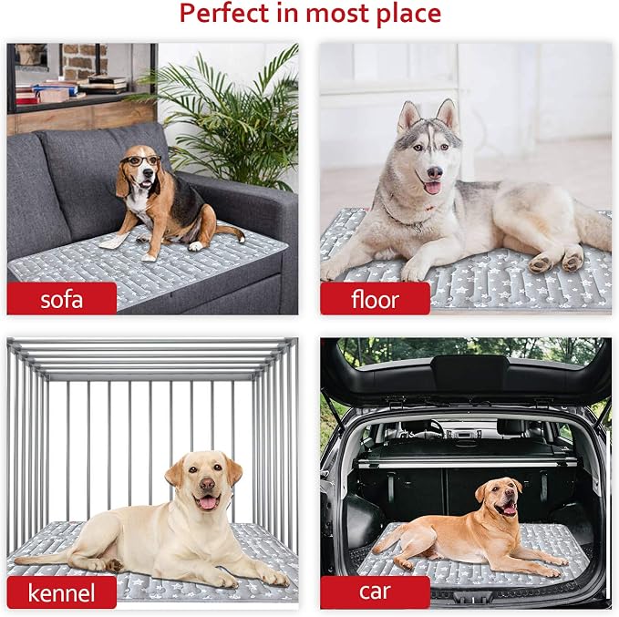 Dog Crate Mat (36" X 23") 2 Pack, Soft Dog Bed Pad Mat with Cute Stars | Personalized Crate Pad, Anti-Slip Bottom, Machine Washable Kennel Pad, Grey