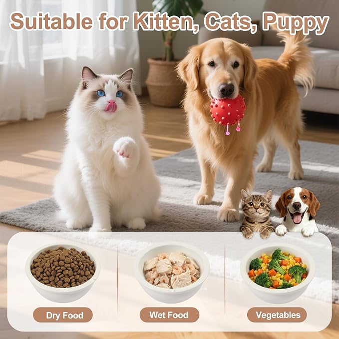 getlstub Elevated Cat Bowls with Wood Stand - Raised Cat Food and Water Bowls for Indoor Cats & Small Dogs, 15°Tilted High Ceramic Anti-Vomit Pet Feeder, Whisker Fatigue Friendly