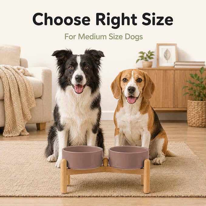 Havniva Ceramic Dog Bowls Elevated, Raised Dog Food Bowl for Medium Dogs | 7.3” Elevated Dog Bowls, Non-Slip Wood Stand, Dog Food and Water Bowl Set, Dog Feeding Dish, Large Capacity Pet Water Bowl