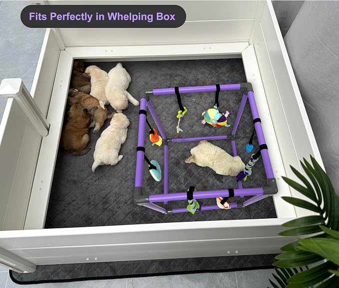 Puppy Play Gym for small dogs with 8 Hanging Interactive Toys Indoor Play | Funny Enrichment Jungle Playground to Keep Them Busy，with Bungee Straps for self-play,19.5*19.5*19.5in