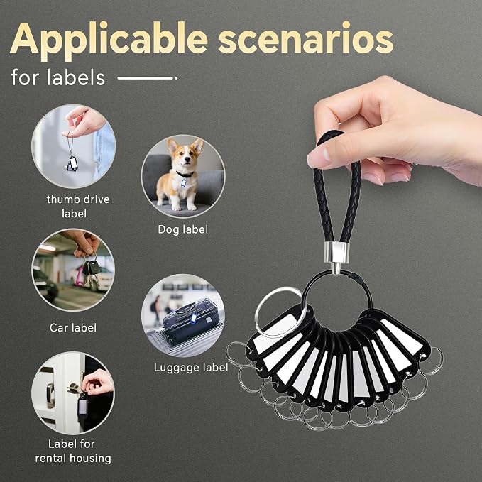 12 Pcs Plastic Key Tags with Labels and Ring Window, Single Color for Luggage, Pet ID, USB Drive (1 Color)