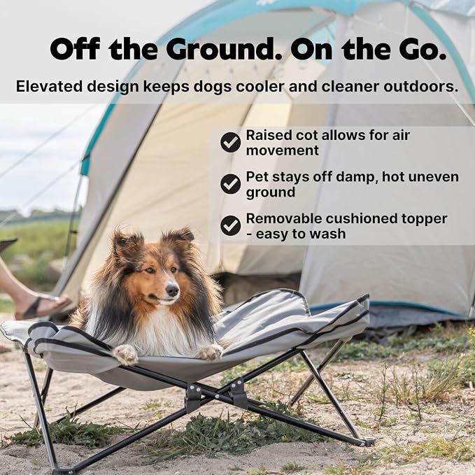Trixie Camping Cot for Small Dogs up to 35 lb, 27.2" x 27.2" | Elevated Pet Travel Bed, Portable Steel Frame Lounger, Removable Topper, Foldable Design, Storage Bag Included