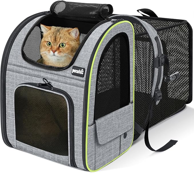 pecute Cat Backpack Expandable, Cat Carrier Backpack with Breathable Window | Durable Oxford Cloth, Lockable Zipper,Use for Pet Under 11 lbs to Travel