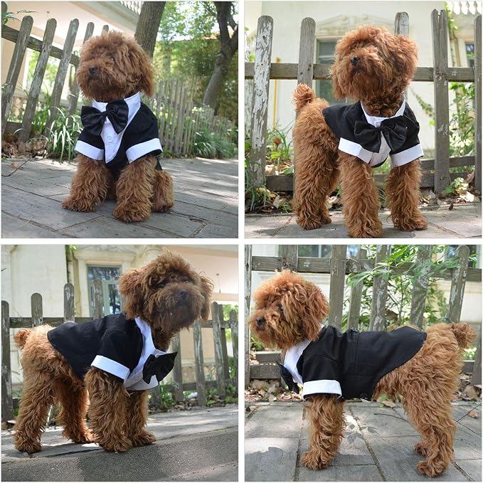 Lovelonglong Pet Costume Dog Suit Formal Tuxedo with Black Bow Tie for Large Dogs Alaska Golden Retriever Black L-XL+