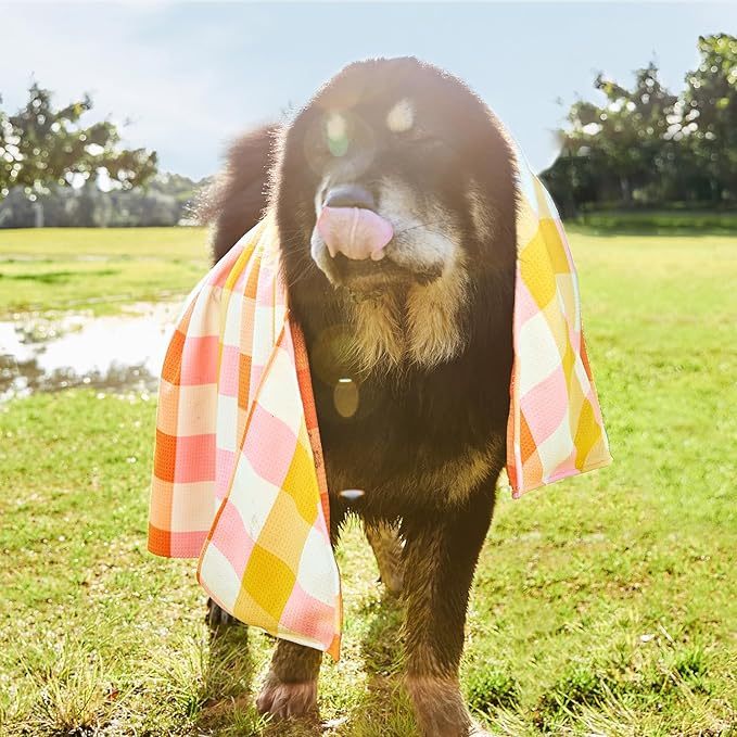 Dock & Bay Pet Towel - Super Absorbent & Quick Drying Dog Towels with Bag - 100% Recycled - Rhubark & Custard, Medium (90x50cm, 35x19)
