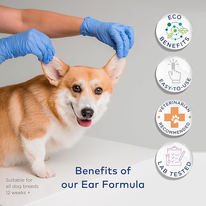 ARCA PET Dog Ear Cleaner Wipes - Vet Formulated Cleanser for Dogs - Ear Itching, Dissolves Wax, Dirt & Odor with Coconut Oil & Aloe Vera (50 Finger Wipes)