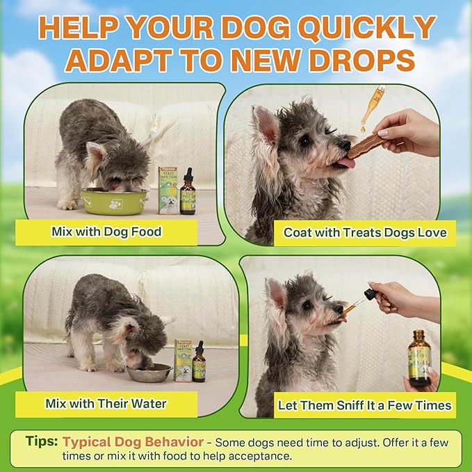 puyrzoe Natural Yeast Infection Treatment for Dogs, Itchy Ears, Skin, Paws & Allergy Relief, Yeast Treatment for Dogs, Supports Gut & Immune Health, Reduces Itching, Irritation & Inflammation, 60ml