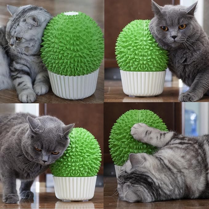 Miwoowim Catnip Feeder - Cat Face Scratcher Wall Corner Massage Comb for Indoor Cats Self Grooming Brush (Green)