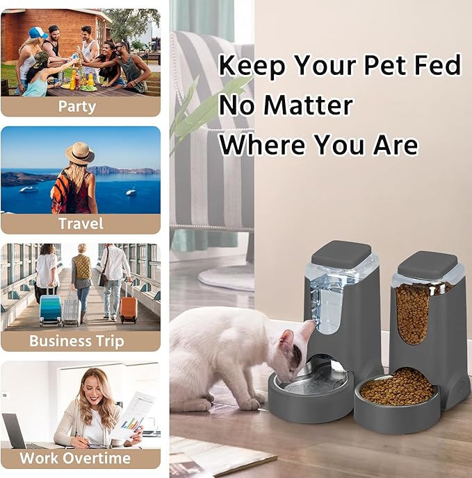 2 Pack Automatic Cat Feeder and Gravity Stainless Steel Water Dispenser, Dog Food Feeder and Waterer Set for Small Medium Puppy Kitten Pets (1 Gallon x 2, Gray)