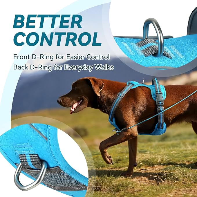 VIVAGLORY No Pull Dog Harness Vest Harness, S, Sky Blue - Patterned | with Handle Front and Back Clip for Training & Pulling, No Pull & Escape Proof Padded Adjustable for Pet Puppy