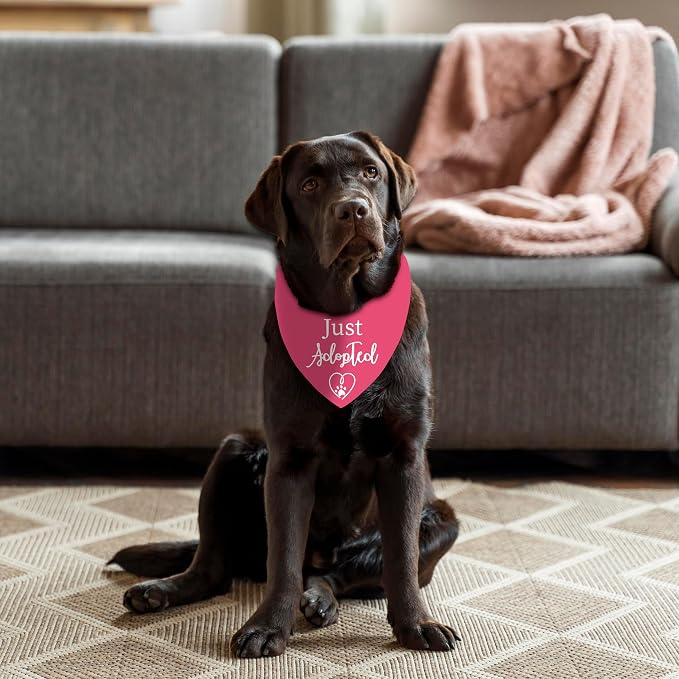 Adopt Me Bandanas for Dogs, Just Adopted Dog Bandana, Funny Cute Pet Triangle Scarf for Medium Large Dogs Puppy, Gifts for Dog Mom Owner Lovers Christmas (Pink)