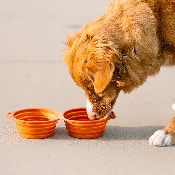 Pup Culture Dual Collapsible Dog Bowls | Silicone Travel Water Bowl for Dogs | Food Grade, No Plastic Rim, Portable Dog Bowl for Food and Water - Easy to Clean | BPA Free and Safe for Your Pup-Green