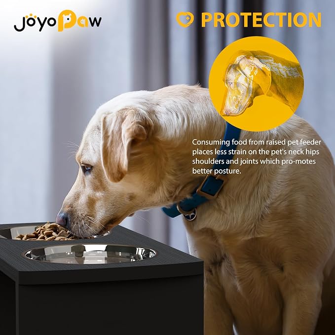 Elevated Dog Bowls, Waterproof Raised Dog Bowl for Medium & Large Dogs, HIPS Poly Lumber Stand with 2 Stainless Steel Bowls, Indoor & Outdoor Use (10'' Tall–48 oz Bowl, Black)