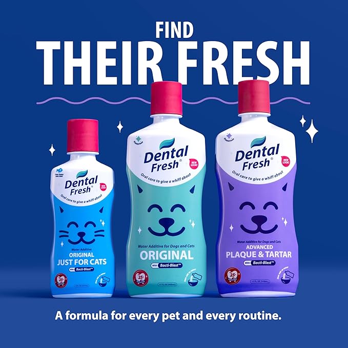 Dental Fresh Plaque & Tartar Control Water Additive for Dogs & Cats – Helps Support Clean Teeth, Healthy Gums & Fresh Breath Just add to Water – Advanced Formula Oral Care, 17 fl oz