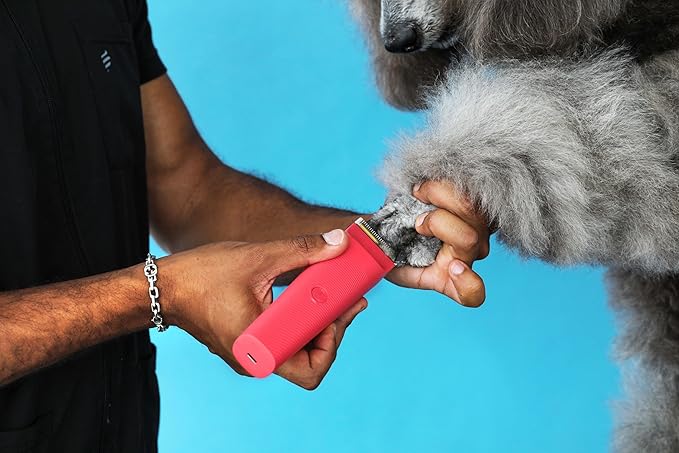 Andis 79125 Vida 5-in-1 Cordless Adjustable Blade Pet Hair Clipper, 11-Piece Kit, Non-Slip Design, Slim Profile, Versitile Fit, Grooming, Raspberry