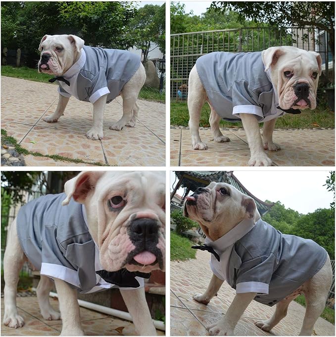 Lovelonglong Bulldog Costume Dog Suit Formal Tuxedo with Black Bow Tie Wedding Clothes for Pugs/French Bulldog/English Bulldog/American Pit Bull Gray B-XL