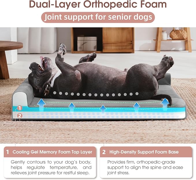 Gel Memory & High-Density Foam Orthopedic Dog Bed 35x27x6 Medium | | Double Waterproof Cover | Machine Washable | Non-Slip Base | Fur-Resistant Tech Fabric