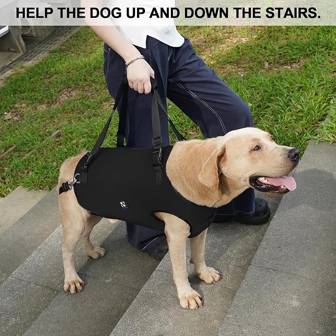 Coodeo Dog Lift Harness, Pet Support & Rehabilitation Sling Lift Adjustable Padded Breathable Straps for Old, Disabled, Joint Injuries, Arthritis, Loss of Stability Dogs Walk (Black, M)