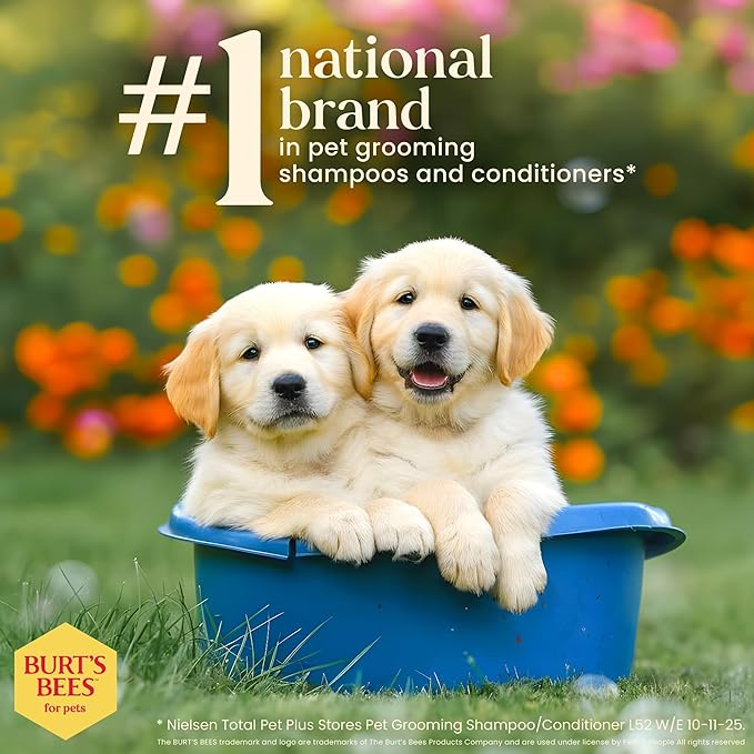 BURT'S BEES FOR PETS Tearless Puppy Shampoo with Buttermilk, 95% Natural Origin Formulas, Shampoo for Puppies - Gentle Dog and Puppy Shampoo Tear Free, Best Puppy Shampoo Tearless, 32 oz