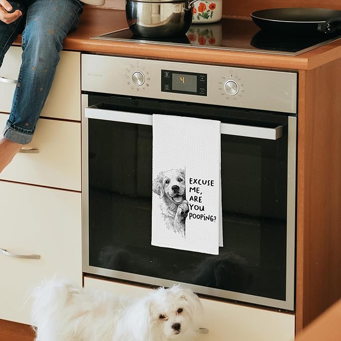Funny Dog Golden Retriever Bathroom Towels, Cute Rustic Hand Kitchen Towels Gifts for Dog Lovers, are You Pooping Bar Dish Towel Decor for Dorm Bar Cafe 16x24in