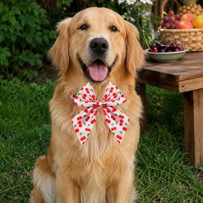 PET SHOW 10 Pack Fruit Sailor Dog Bowties for Large Dogs