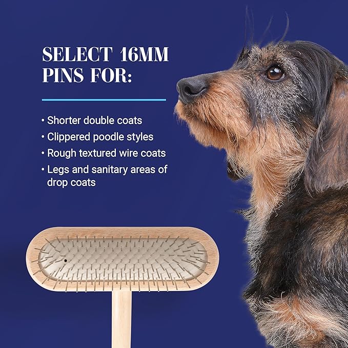 Chris Christensen Dog Brush, 16 mm,T-Brushes, Groom Like a Professional, Stainless Steel Pins, Lightweight Beech Wood Body, Ground and Polished Tips, Fight Fatigue and Stress Injuries