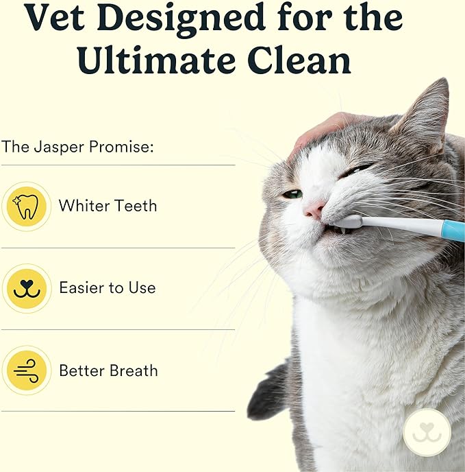 Jasper Microbrush Vet Approved Cat Toothbrush, Soft-Bristled Toothbrush Kit for Felines & Small Dogs, Non-Slip Handle with 2 Replaceable Tooth Brush Heads, Use with Cat Toothpaste, 2-Pack, Gray Mist