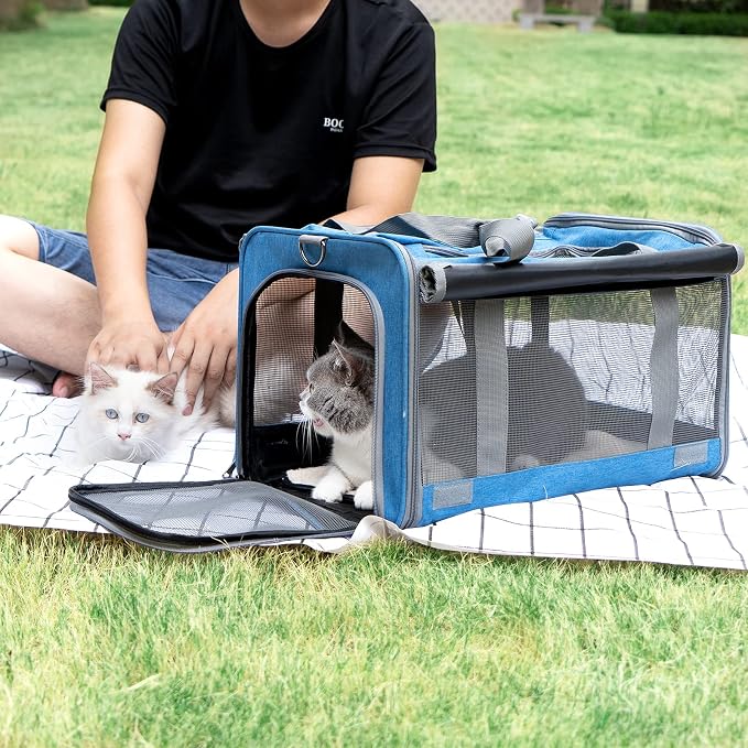 GAPZER Pet Carrier for Large and Medium Cat, Soft-Sided Pet Crate for Puppy | Dog Collapsible Travel Kennel Bag Privacy Protection, Big Kitty 20 pounds Carrying Cage Portable Home Outdoor Taxi Carseat