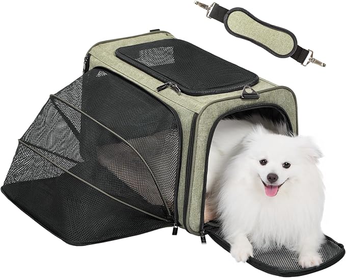 Petsfit Large Expandable Cat Carrier for Travel, Up to 18 lb | 19 x 12 x 12 in; roomy expandable space with a reinforced frame, locking zippers, interior safety tether and large pocket.