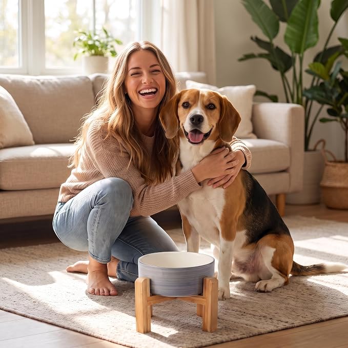 hjn Elevated Ceramic Dog Bowl with Bamboo Stand, Raised Pet Feeding Station for Small Medium Dogs Cats, Modern Design with Anti-Slip Base (White Gray, 3.6Cup)