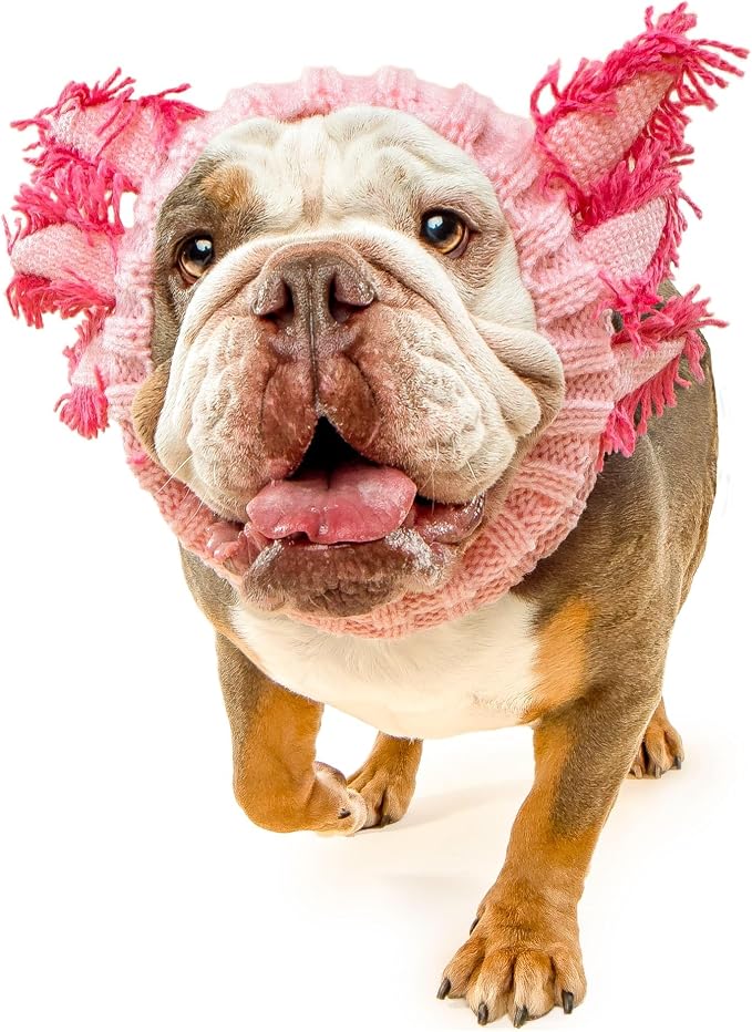 Zoo Snoods Axolotl Dog Costume - Warm Crochet Salamander Snood Wrap for Pets, Neck Ear Cover Protection, Halloween Winter (Large)