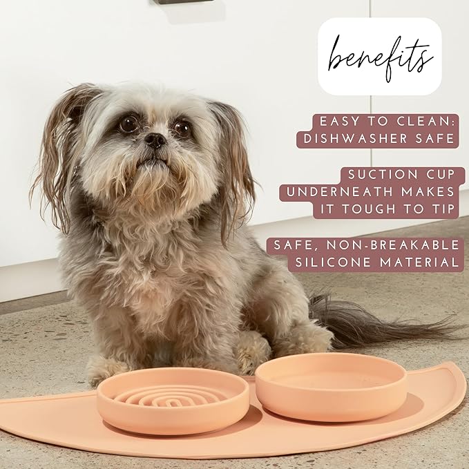 Should We Go? Dog Water Bowl - The Perfect Dish No-Spill, Less Mess Non-Tippable Water & Food Bowl, Pure Silicone with Suction Cup, Fits 2 Cups 6” Across x 1.25” Tall, Ideal for All Pets, Small-Sage