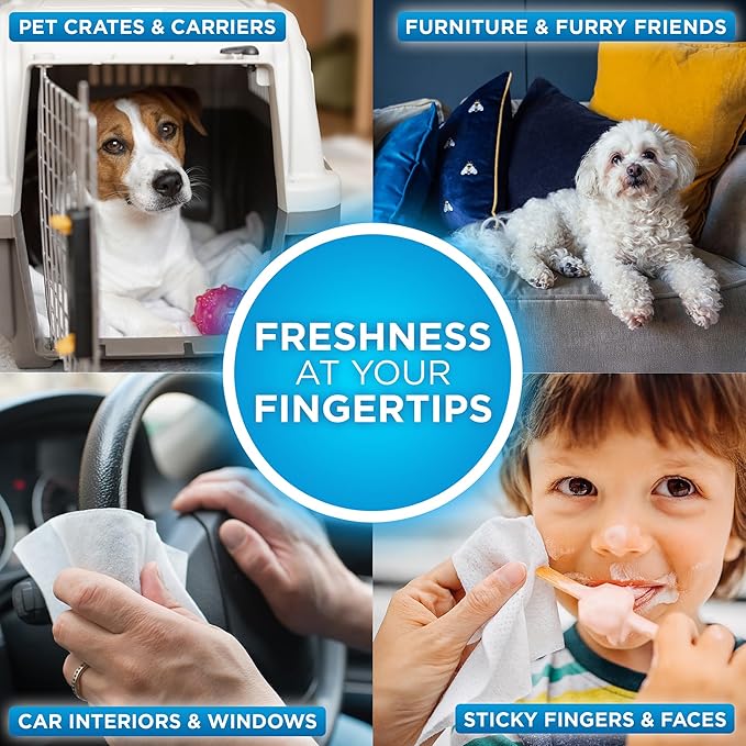 POOPH® Pure Wipes™ – 100 Count Pack – Gentle & Fast Odor Control – Fragrance-Free – No Harsh Chemicals – Multi-Purpose Pet & Surface Cleaning