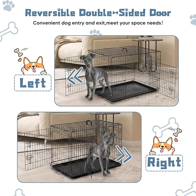 DUMOS Dog Crate 36 Inch, Foldable Small Medium Dog Cage Pet Kennel | Double Door Metal Wire, Plastic Leak-Proof Pan Tray, Portable Indoor Outdoor Training Travel
