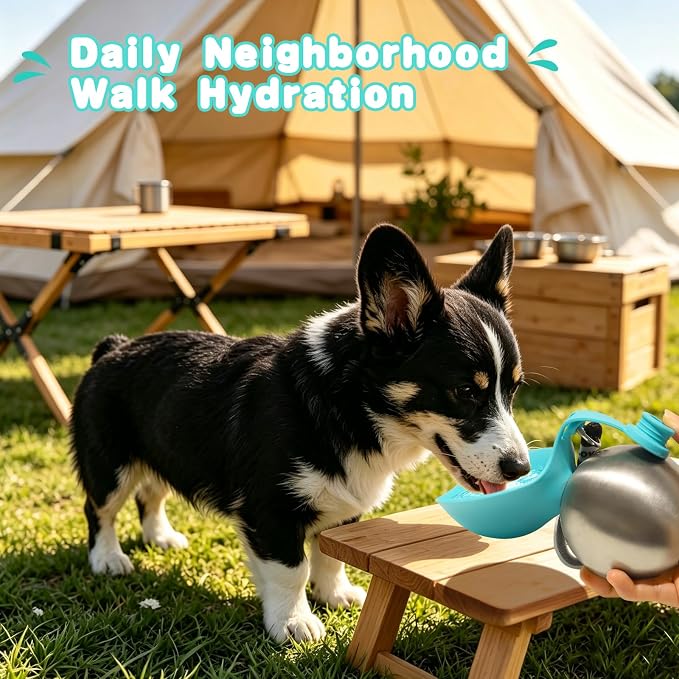 Drain-Back Stainless Steel Portable Dog Water Bottle with Bowl for Walks
