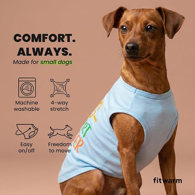 Fitwarm Egg-spert Hunter Dog Easter Outfit, Summer Clothes for Small Dogs Boy Girl, Pet Outfit, Blue, Red, Green, Orange, Large
