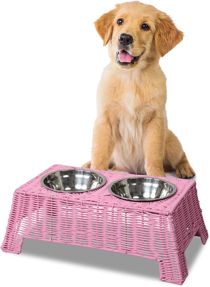 Serenity 6.9" Small Medium Elevated Wicker Pet Feeder with 2 Removable 18oz 2.2 Cup Stainless Steel Bowls Dishwasher Safe Food Water Station for Dogs Cats, Light Green DBL4000Y