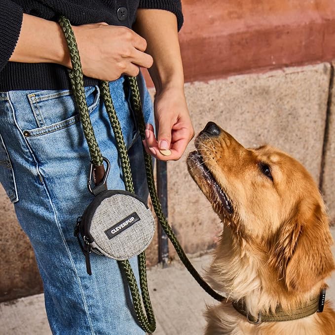 Cleverpup Snackpack Double Insulated Dog Treat Pouch – 1.5 Cup Capacity, 2 BPA-Free Waterproof Zipper Pockets, Carabiner for Belt/Leash – Compact Training & Travel Bag – Heather Grey