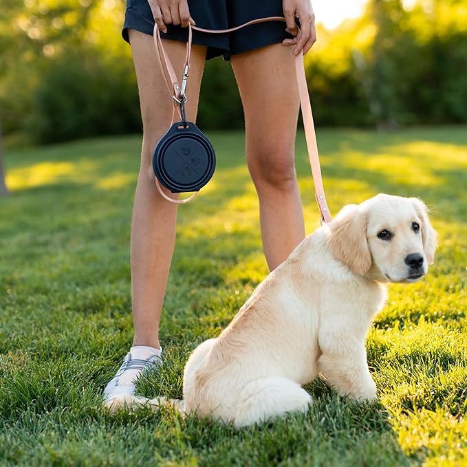 Pup Culture Dual Collapsible Dog Bowls | Silicone Travel Water Bowl for Dogs | Food Grade, No Plastic Rim, Portable Dog Bowl for Food and Water - Easy to Clean | BPA Free and Safe for Your Pup-Pink