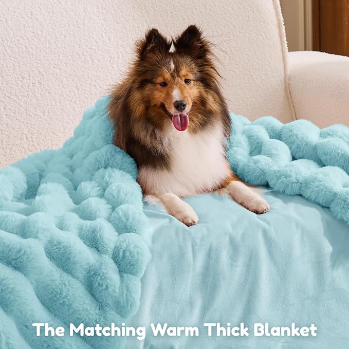 ChiXnuggle Orthopedic Human Dog Bed,Striped Faux Fur Washable Cover,Blanket | blue,72*40*10,giant dog bed for adult or extra large dogs,egg crate foam,non-slip bottom