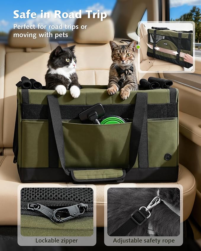 Pecute Large Cat Carrier, Soft Double Pet Crate for 2 Cats Travel, Green | Anti-Collapse Steel Frame, Convertible Dual Space, Foldable, Polyester Breathable mesh, Up to 26 lbs, Car Travel & Vet Visits